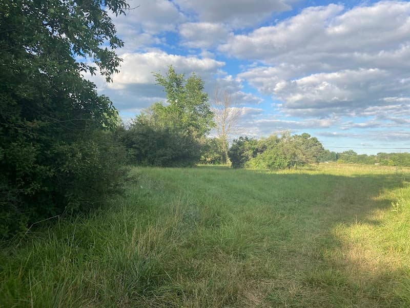 Brown City Park - Image 1