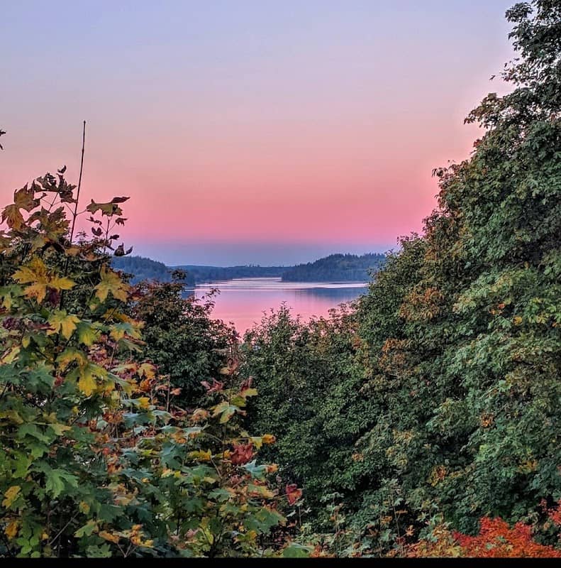 Shelton Log Sign Park - Image 1