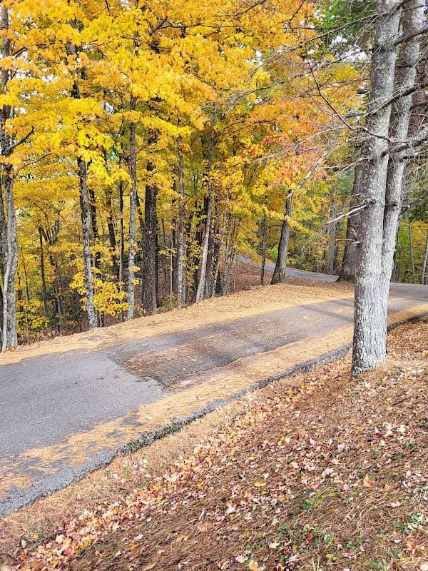 Scenic overlook - Image 2