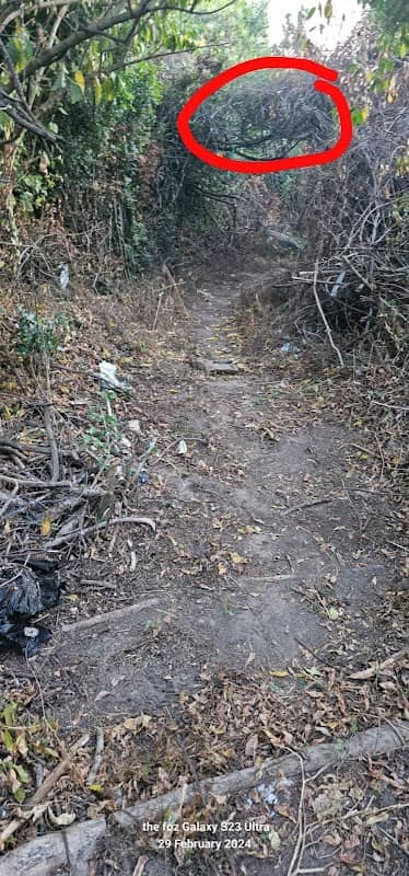 Pipeline Trail - Image 2