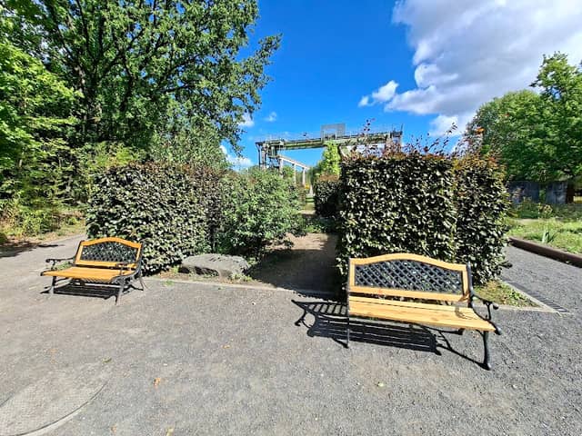 Frosch- und Schlangenteich im Familiengarten - Image 1