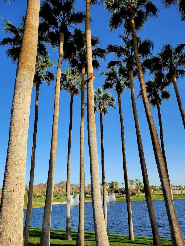 Palm Patch Landing - Image 2