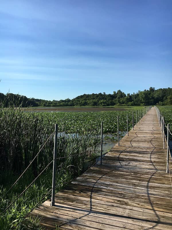 Haas lake Park - Image 2