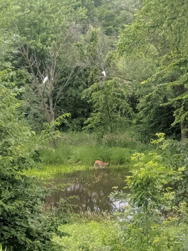 Haas lake Park - Image 1