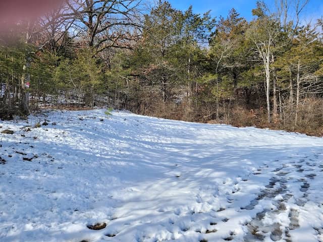 Taylor Park - Image 1