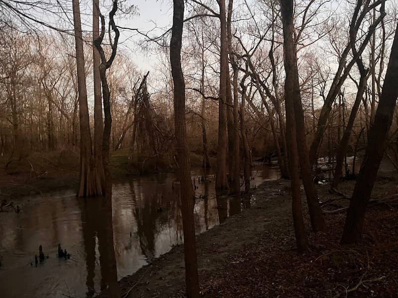 Great Egret's Ridge Trailhead, Trinity River National Wildlife Refuge - Image 3
