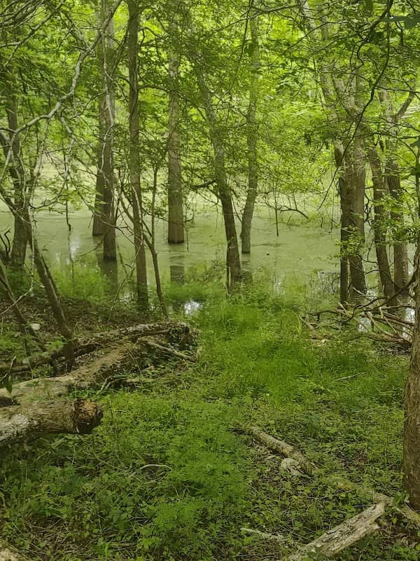 Great Egret's Ridge Trailhead, Trinity River National Wildlife Refuge - Image 2
