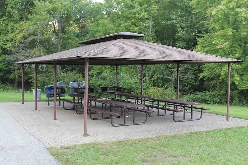 Albion Woods Picnic Area - Image 1