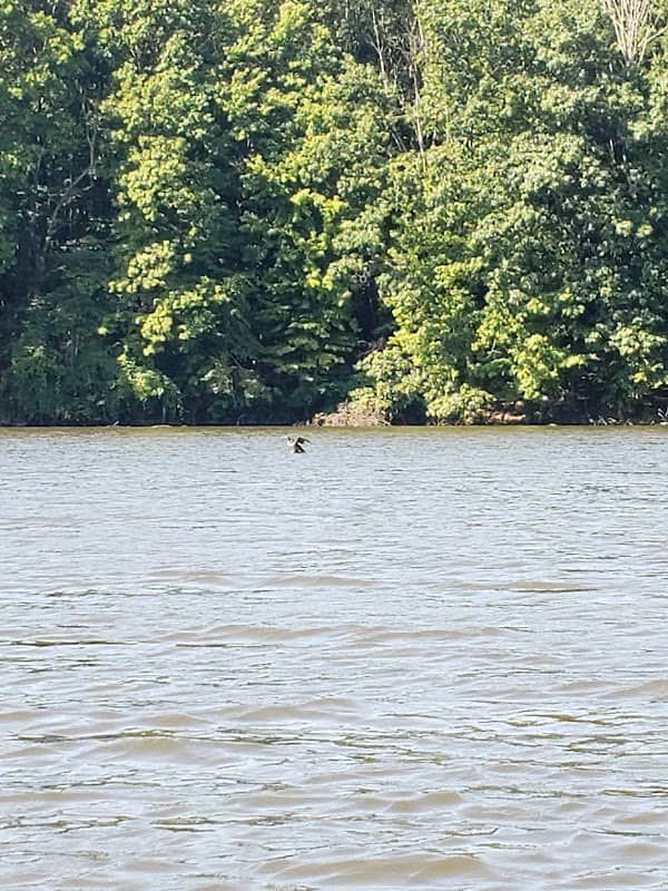 Berlin Lake Wildlife Area - Image 2