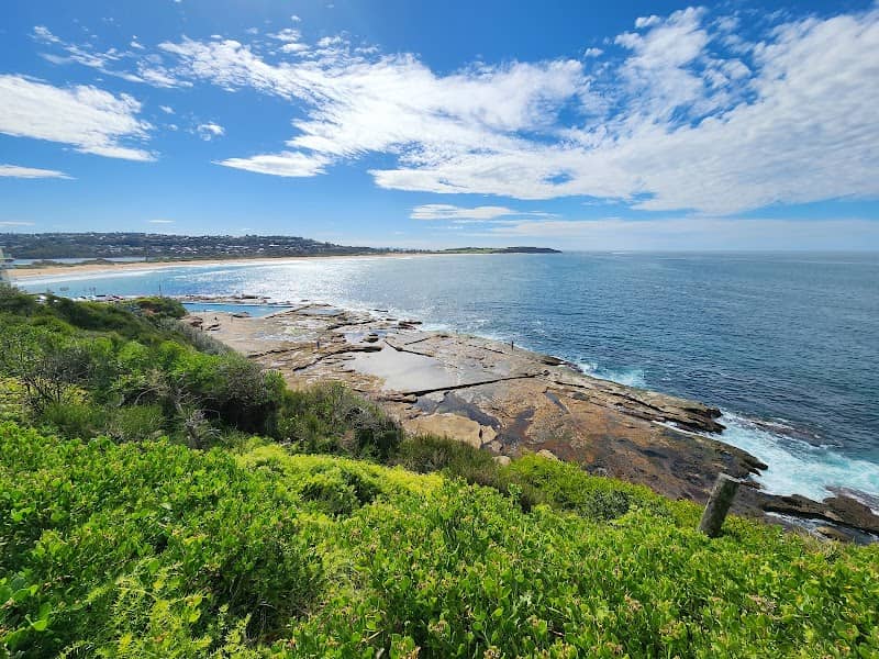 Dee Why to Curl Curl Coastal Walk - Image 2