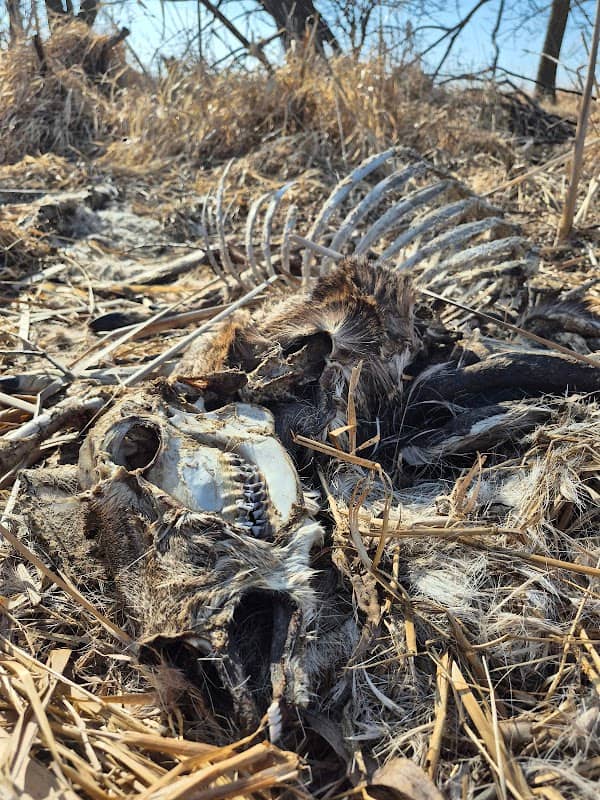 Minnesota Waterfowl Production Area - Image 3