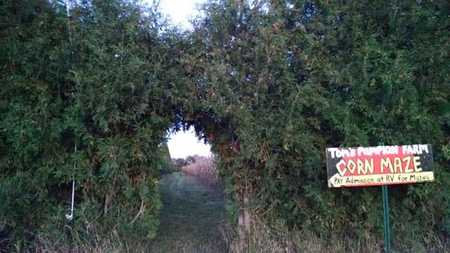 Tom's Pumpkin Farm - Image 1
