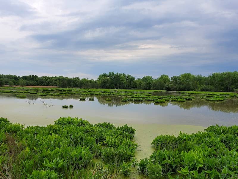 Utica Marsh Wildlife Management Area - Image 2