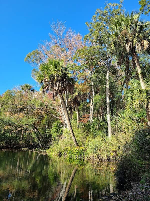 Hall’s River Headwater Spring - Image 2