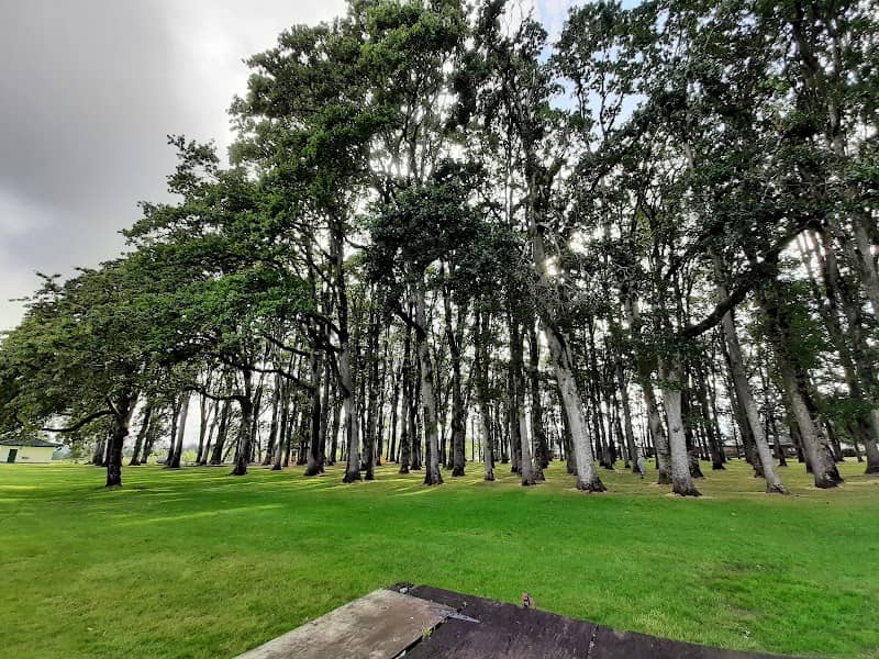 Clark Park - Image 1