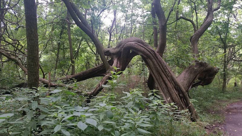Oak Valley Park - Image 2