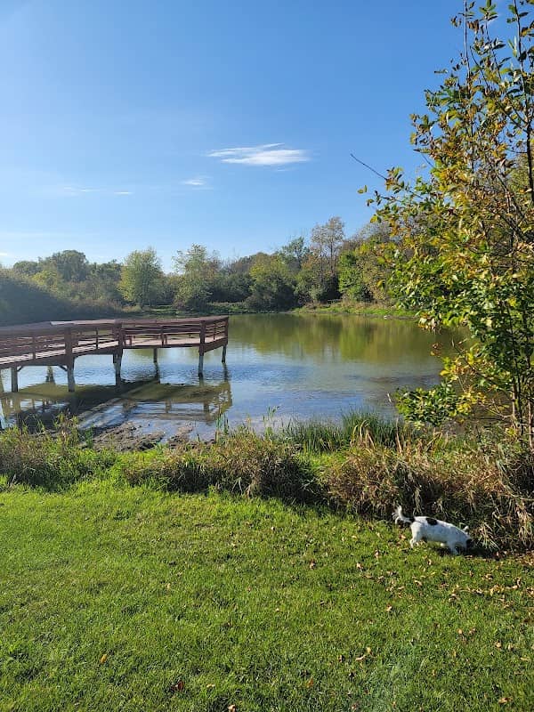 Mill Pond Park - Image 2