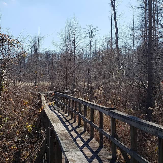 Clear Springs Nature Trail - Image 2