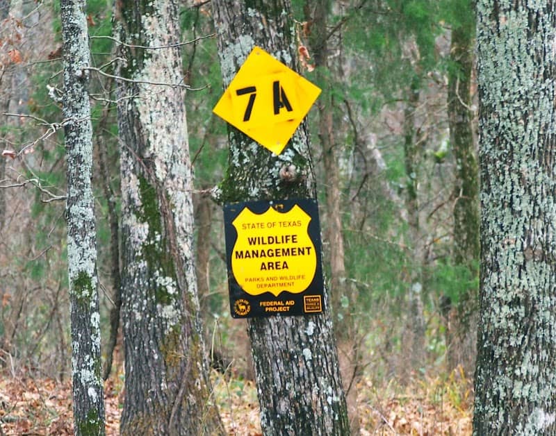 Pat Mayse State Wildlife Management Area - Image 2