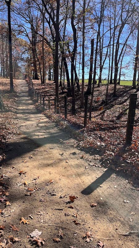 Randolph Park - Image 2