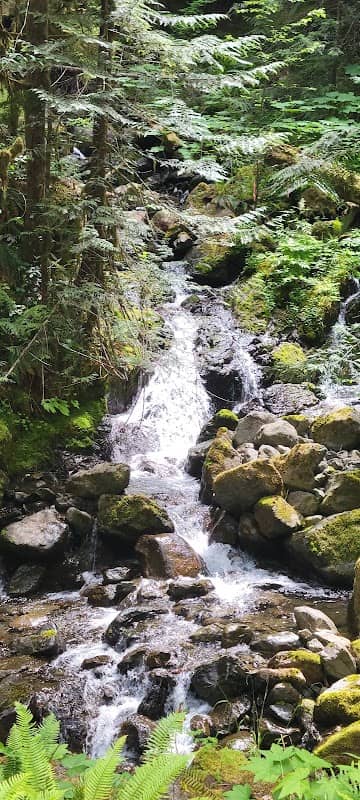 Clark Creek Falls - Image 2