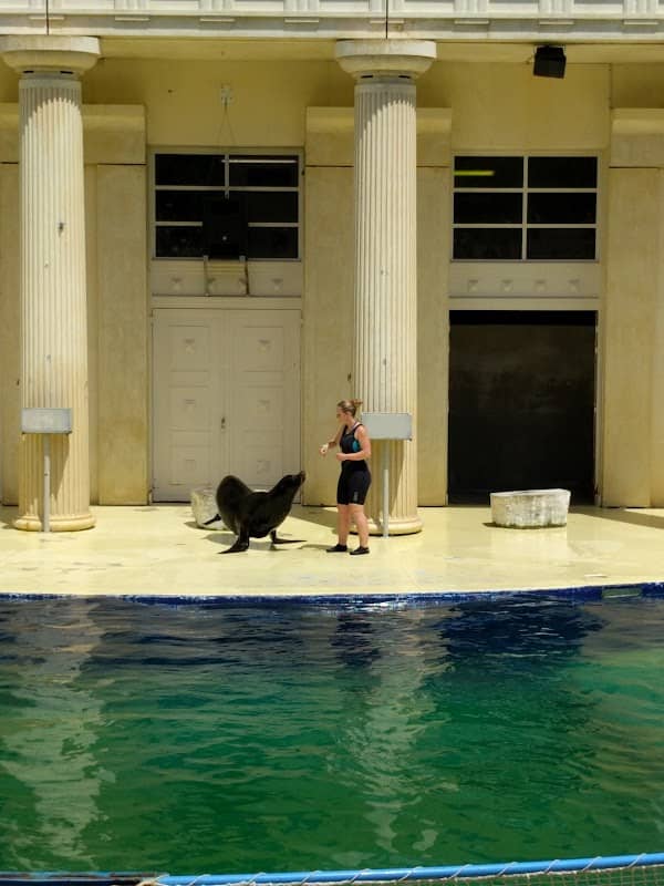 Show des Otaries - Image 1