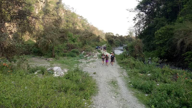 Manas Chowki Eco Tourism Society - Image 3