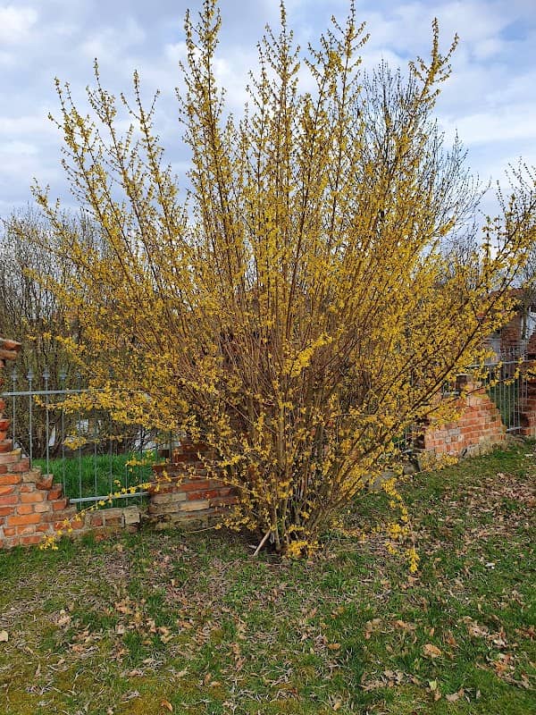 Henry Heights, Little Slidingen - Image 2