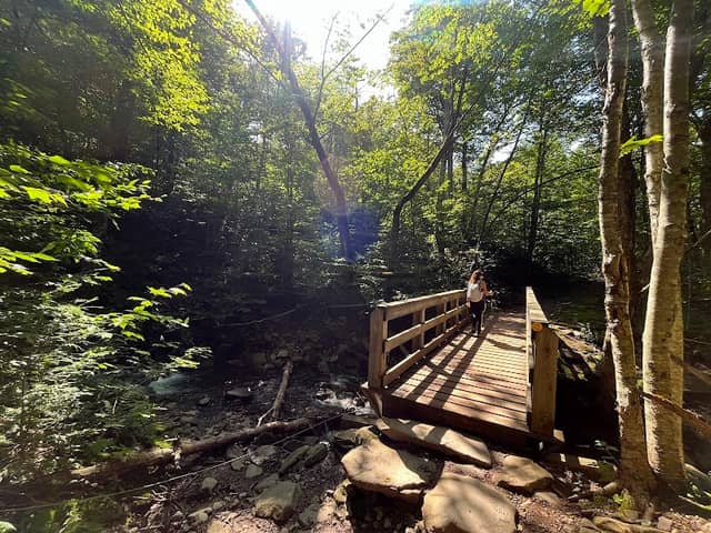Giant Ledge Trailhead - Image 1
