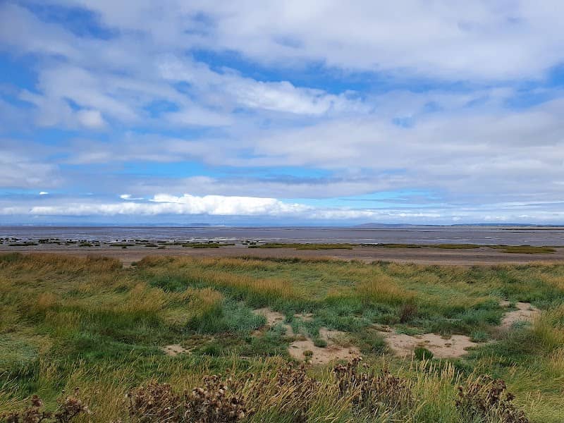 Steart Point Bird Hide - Image 1