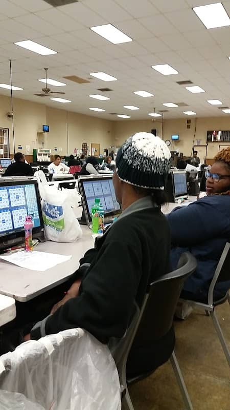Bingo Bonanza - Image 1