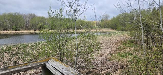 Sullivan Glacial Drumlin State Trail Head - Image 1