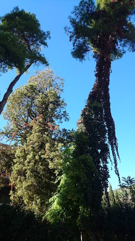 Park - Image 2