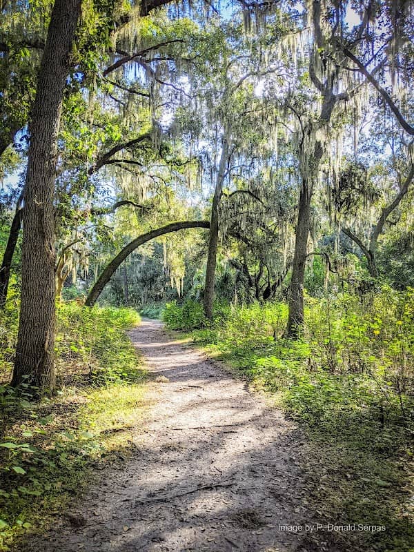 Bartow Trailhead, Fort Fraiser Trail - Image 3