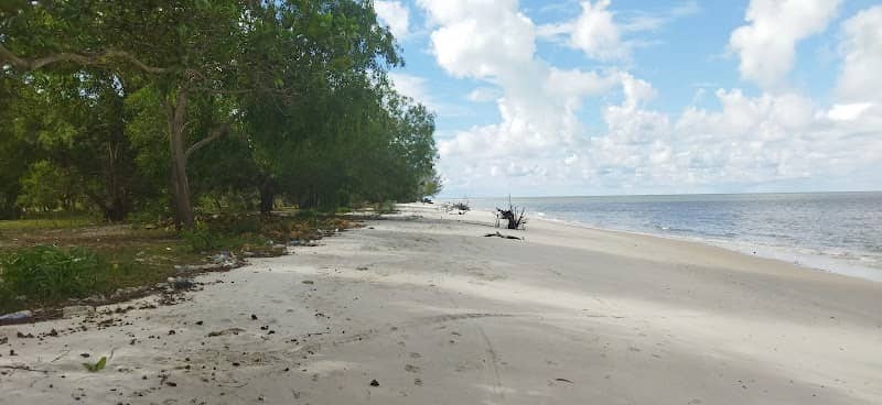 Tax Beach - Image 1