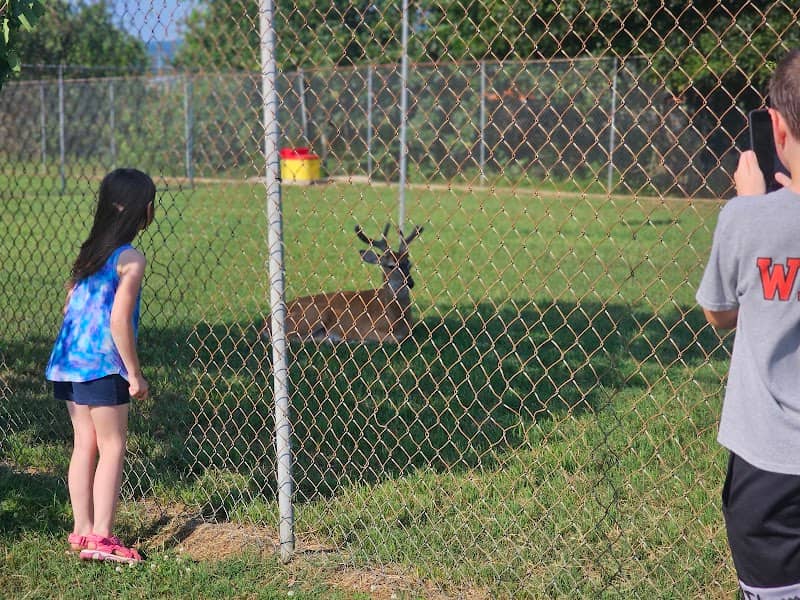 Dale Elliott Deer Park - Image 2