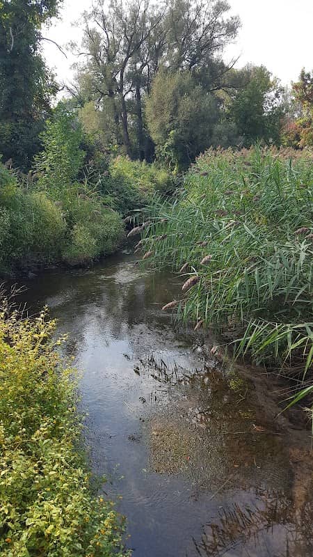 Bear Trap Creek Bikeway - Image 2