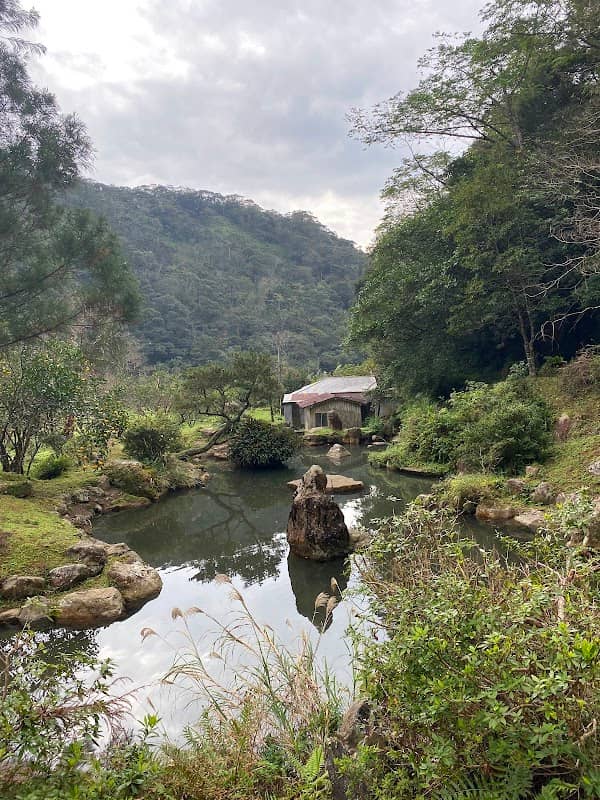 Arangachi Falls - Image 1