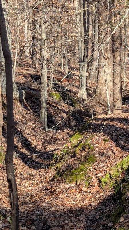 Gar Creek Nature Preserve - Image 1