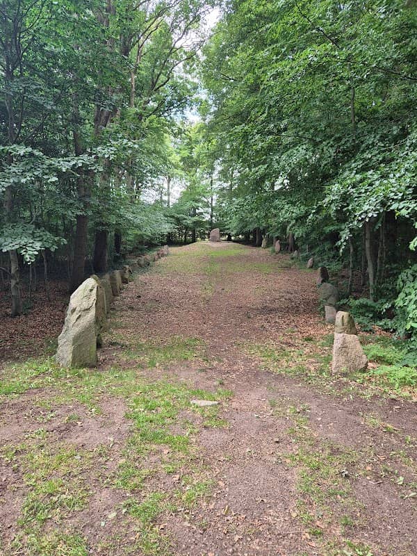 Glavendruplunden - Image 1