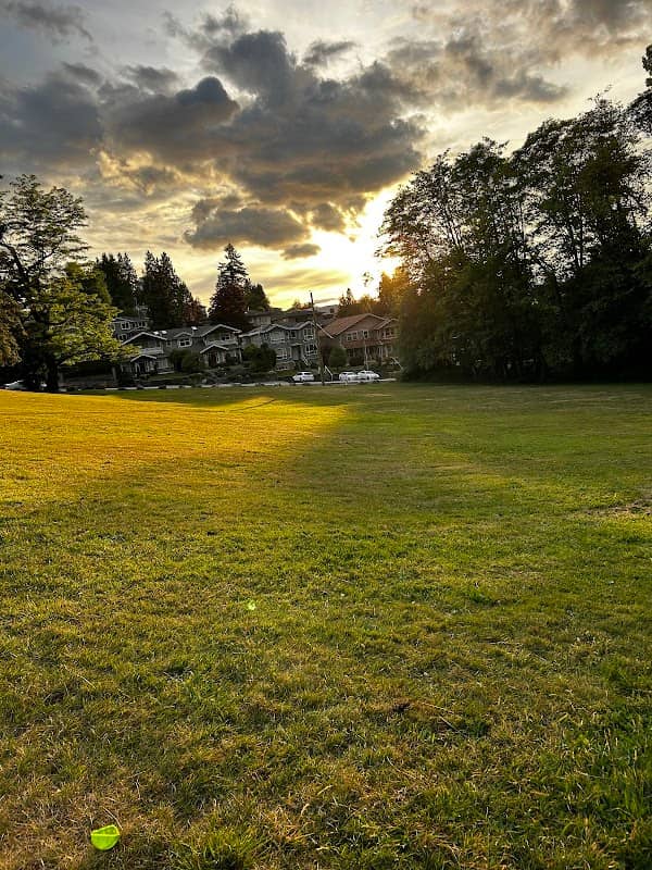 Kisbey Park - Image 2