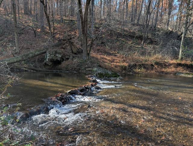 Park - Image 1