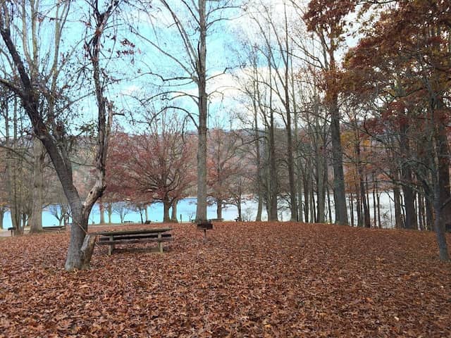 Watauga Point Recreational Area - Image 2