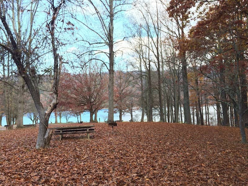 Watauga Point Recreational Area - Image 2