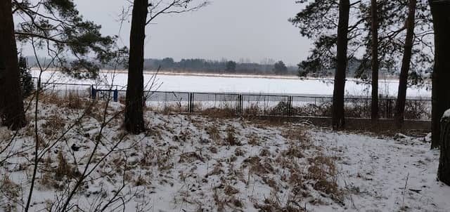 Leśnictwo Somianka, Nadleśnictwo Wyszków - Image 1