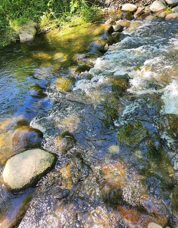 HAMMANN PARK - Image 2