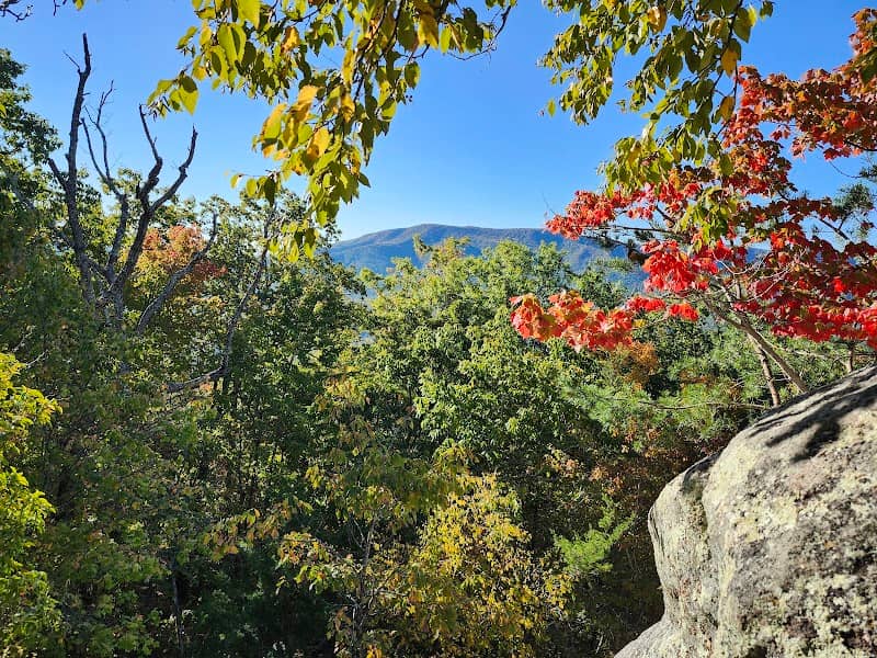 Junction of McAfee Knob Trail and Appalachian Trail - Image 3