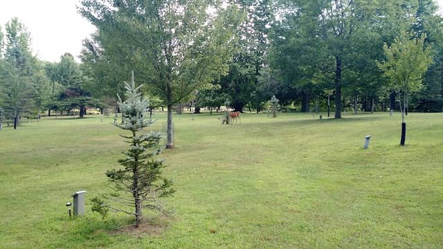 Pipestem Arboretum - Image 2