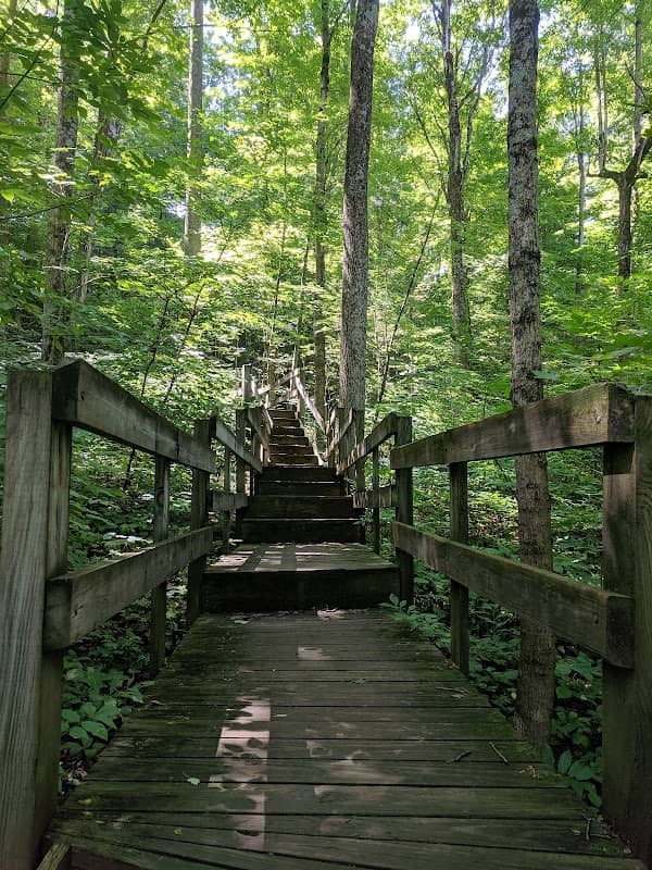 Howard Collier State Nature Preserve - Image 1
