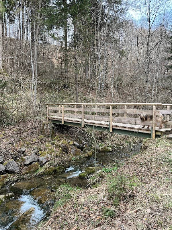 Hölzerne Bachbrücke - Image 1